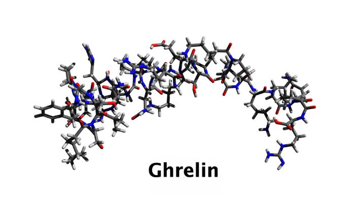 Influencing Ghrelin Levels
